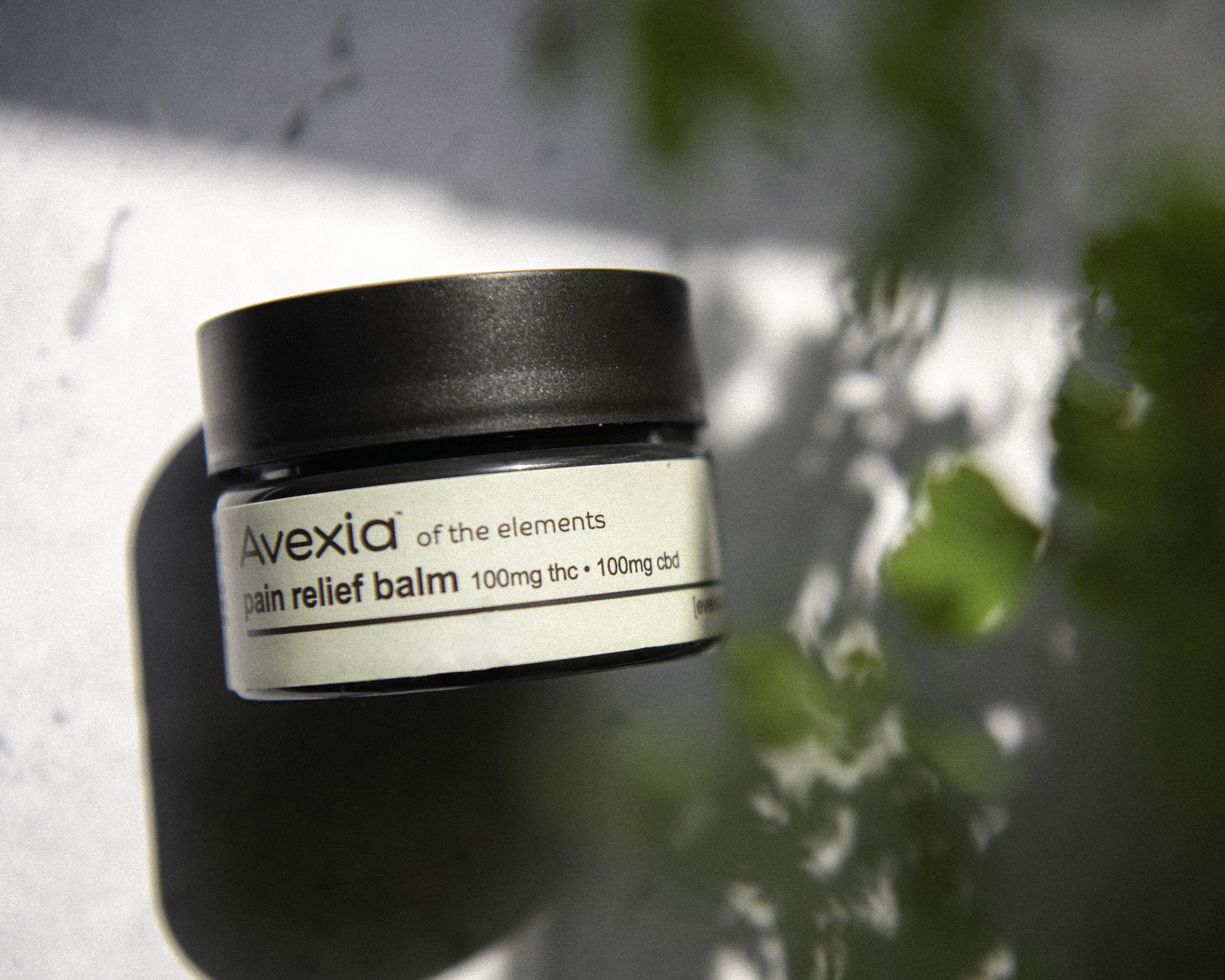 Photograph of product: Harmony 1:1 Balm (100mg CBD/100mg TH-oui)