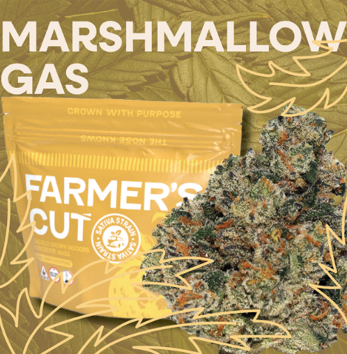 Photograph of product: Marshmallow Gas Strain | Flower 3.5g - Levitate