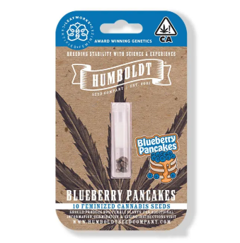 Photograph of product: Blueberry Pancakes (H) Feminized Seeds 10pk - Humboldt Seed Company