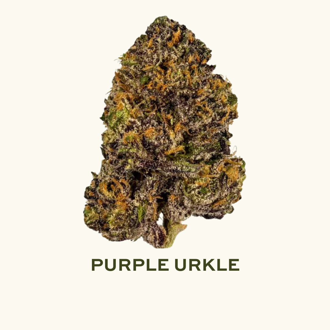 Photograph of product: Purple Urkle - (3.5) - 3.5g
