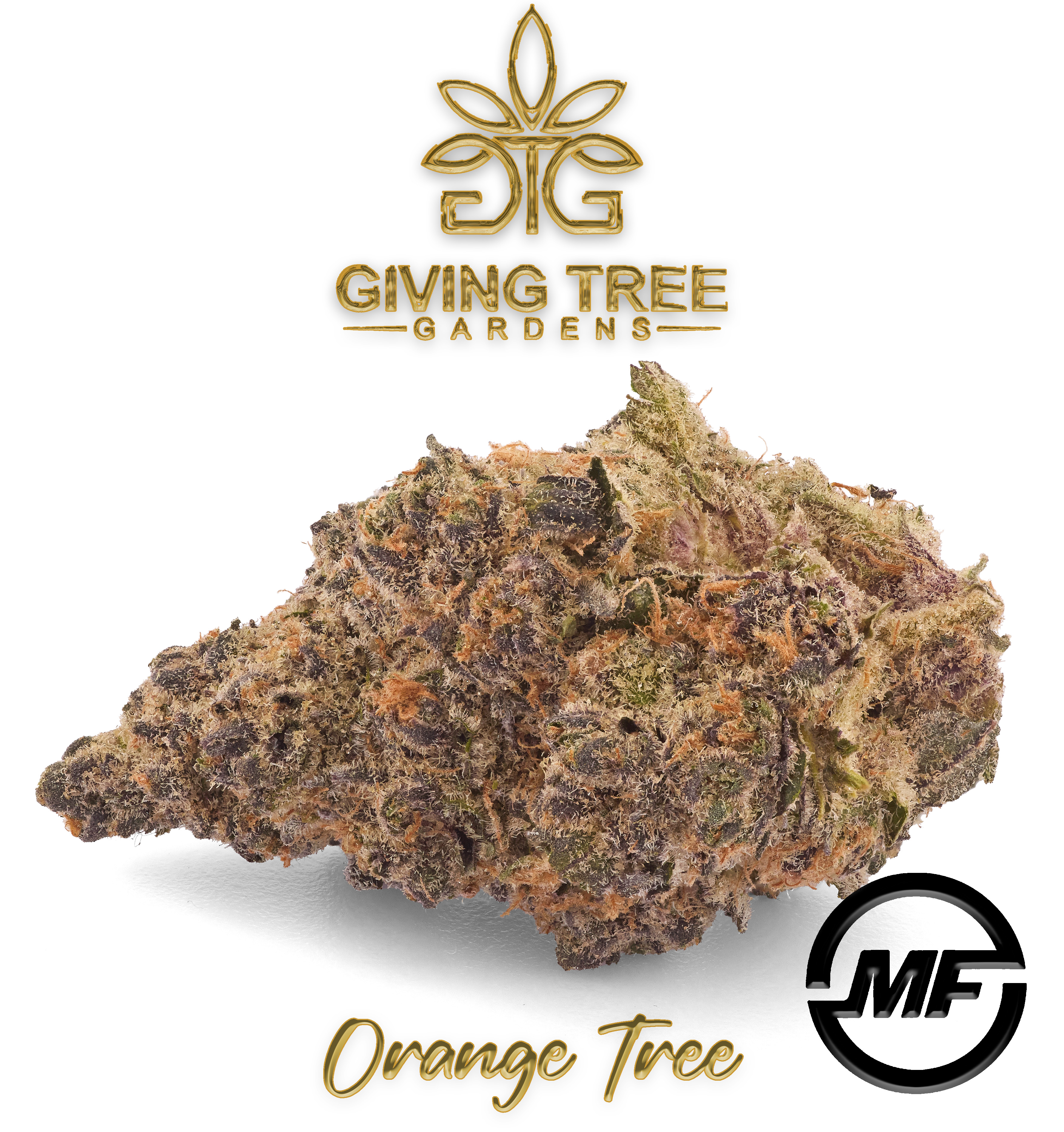 Photograph of product: Giving Tree | Orange Tree | 3.5g