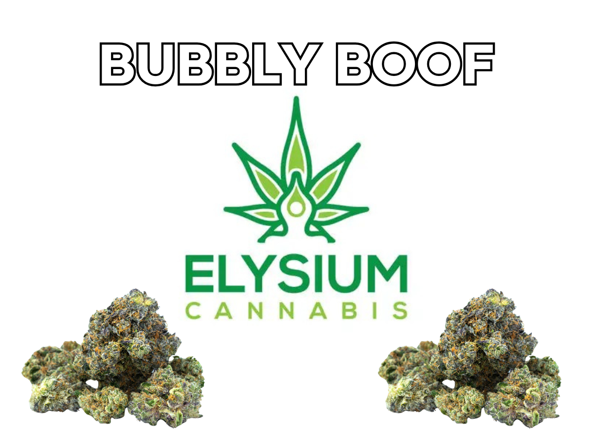 Photograph of product: ELYSIUM | CHERRY GARY | BULK | HYBRID - 28g