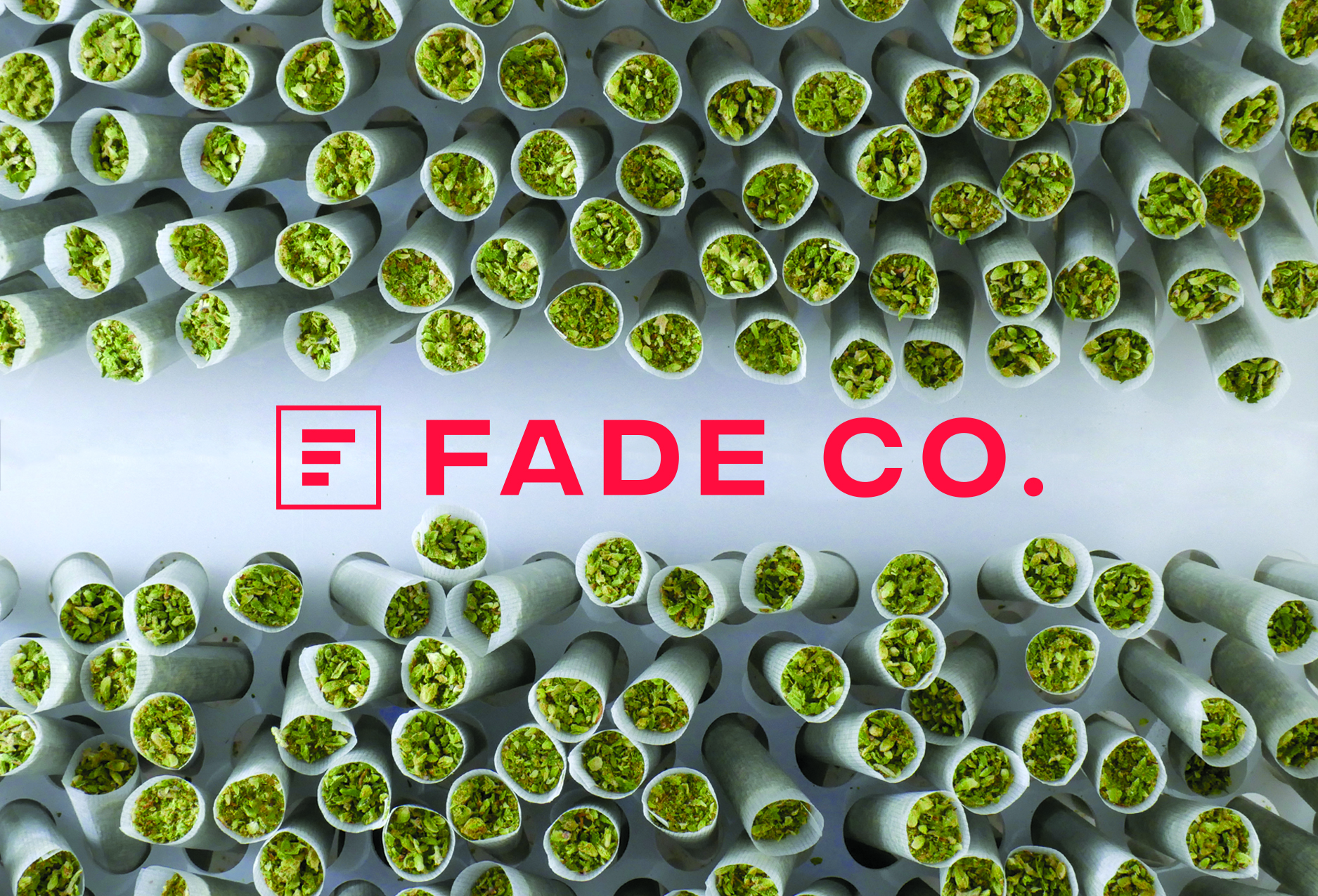 Photograph of product: Fade | Pre Rolls | Mule Fuel | 2 x .5g