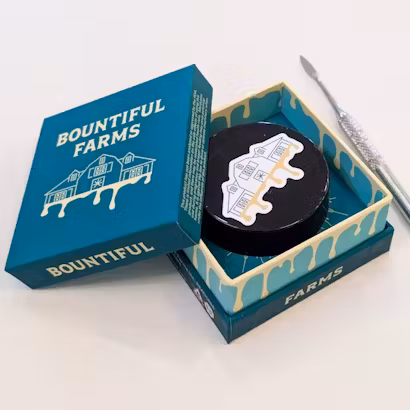 Photograph of product: Strawberry Gary + Runtz Banger |  Live au chocolat Rosin | 1g