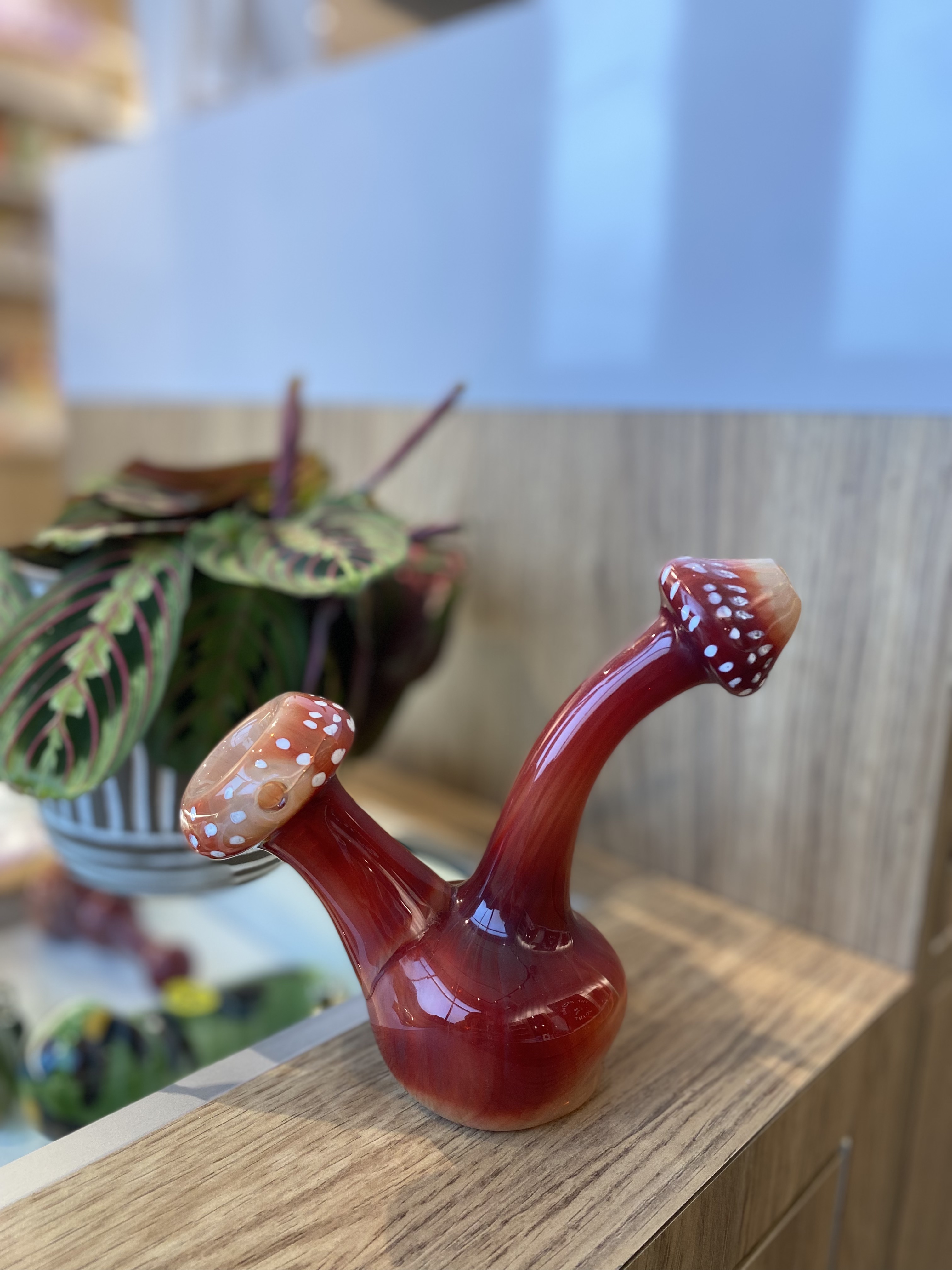 Photograph of product: Mini 6" Bubblers