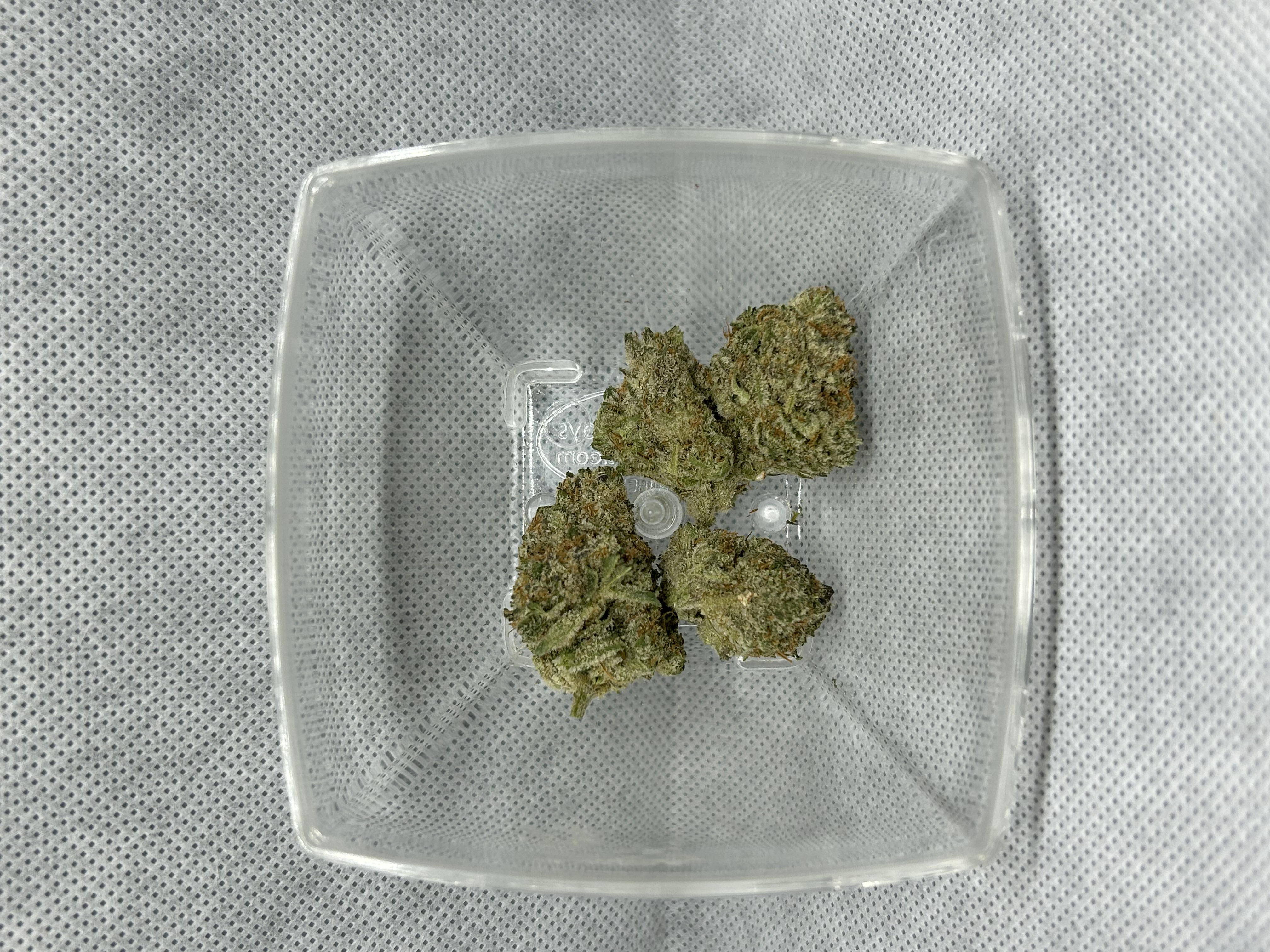 Photograph of product: Mango Mojito - 3.5g
