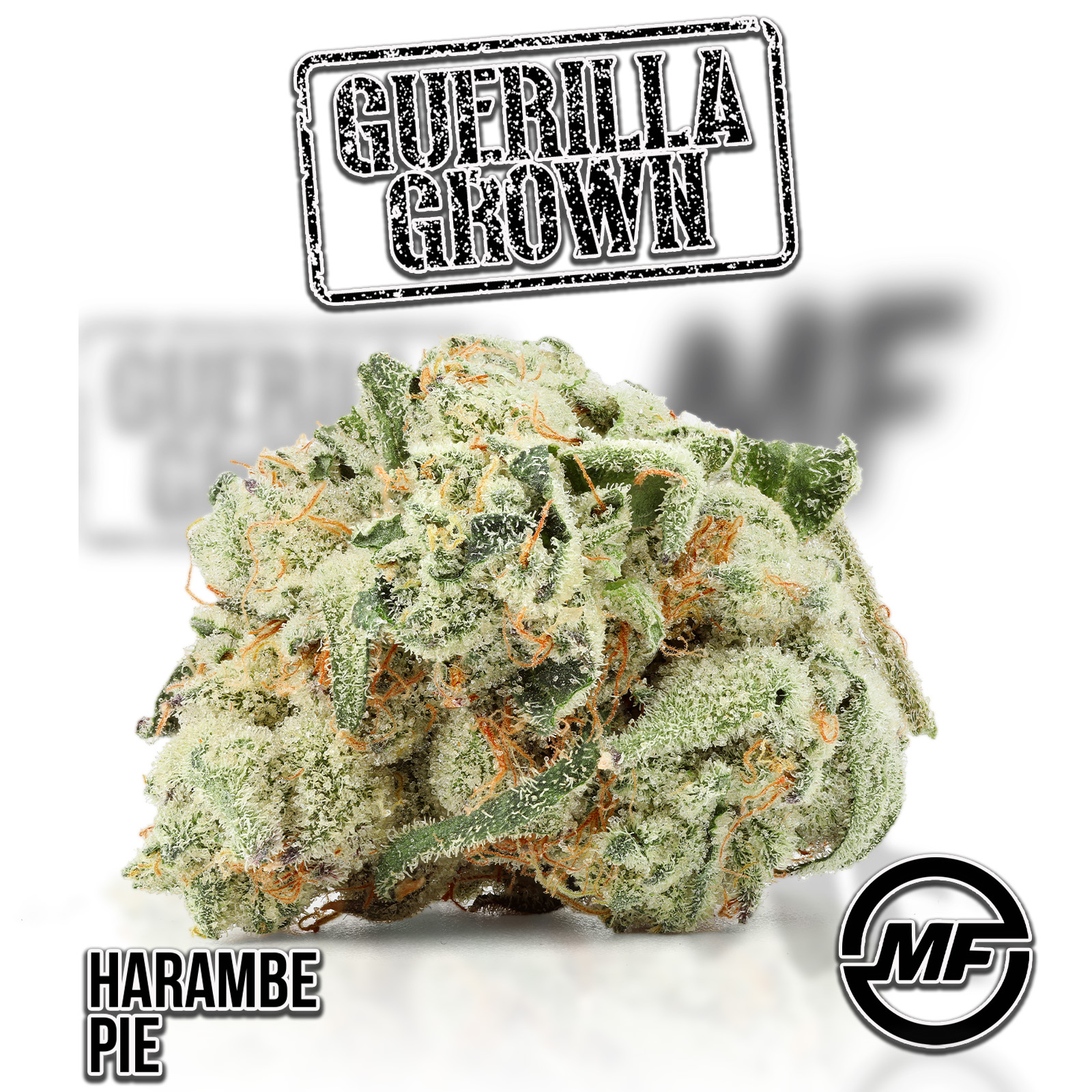 Photograph of product: Guerilla Grown | Harambe Pie - 28g