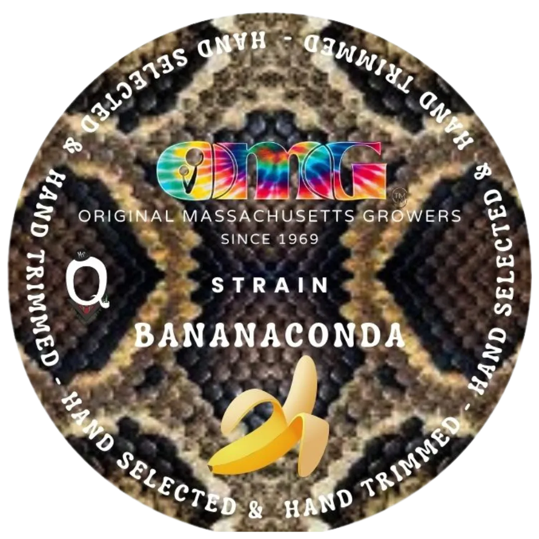 Photograph of product: Live Rosin | Bananaconda | 1g