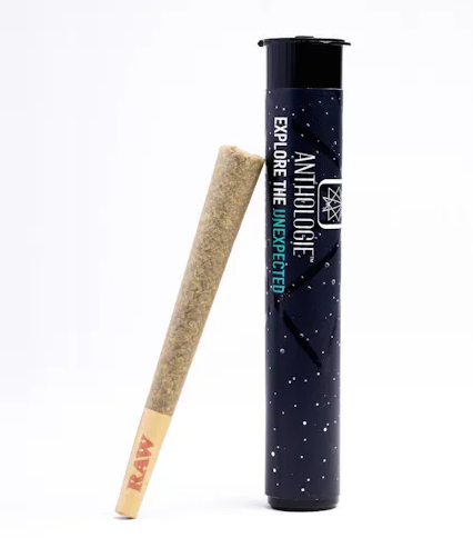 Photograph of product: Anthologie - Thug Roze 1g Pre-Roll