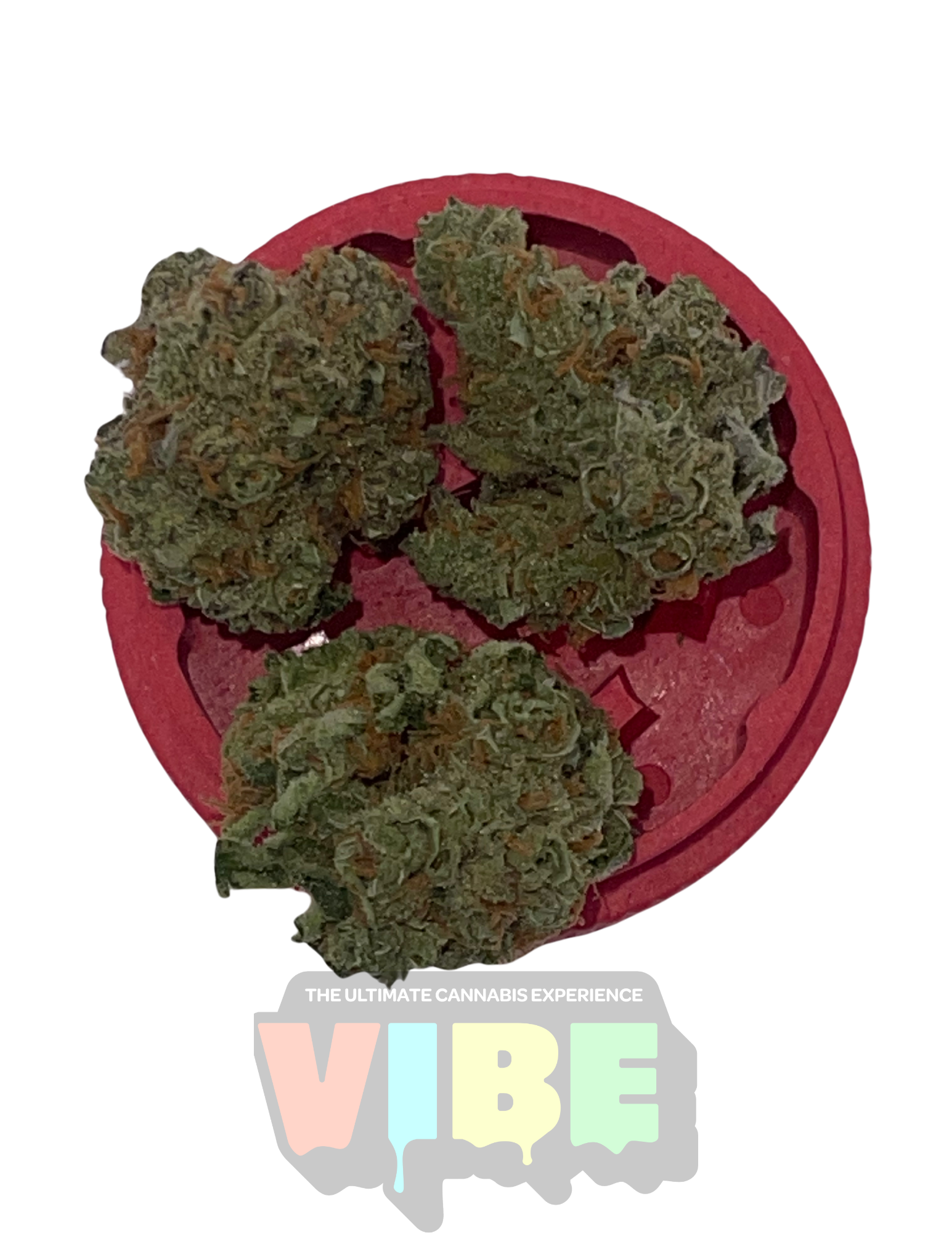 Photograph of product: Candy Store | Bulk Flower | REC - 28g