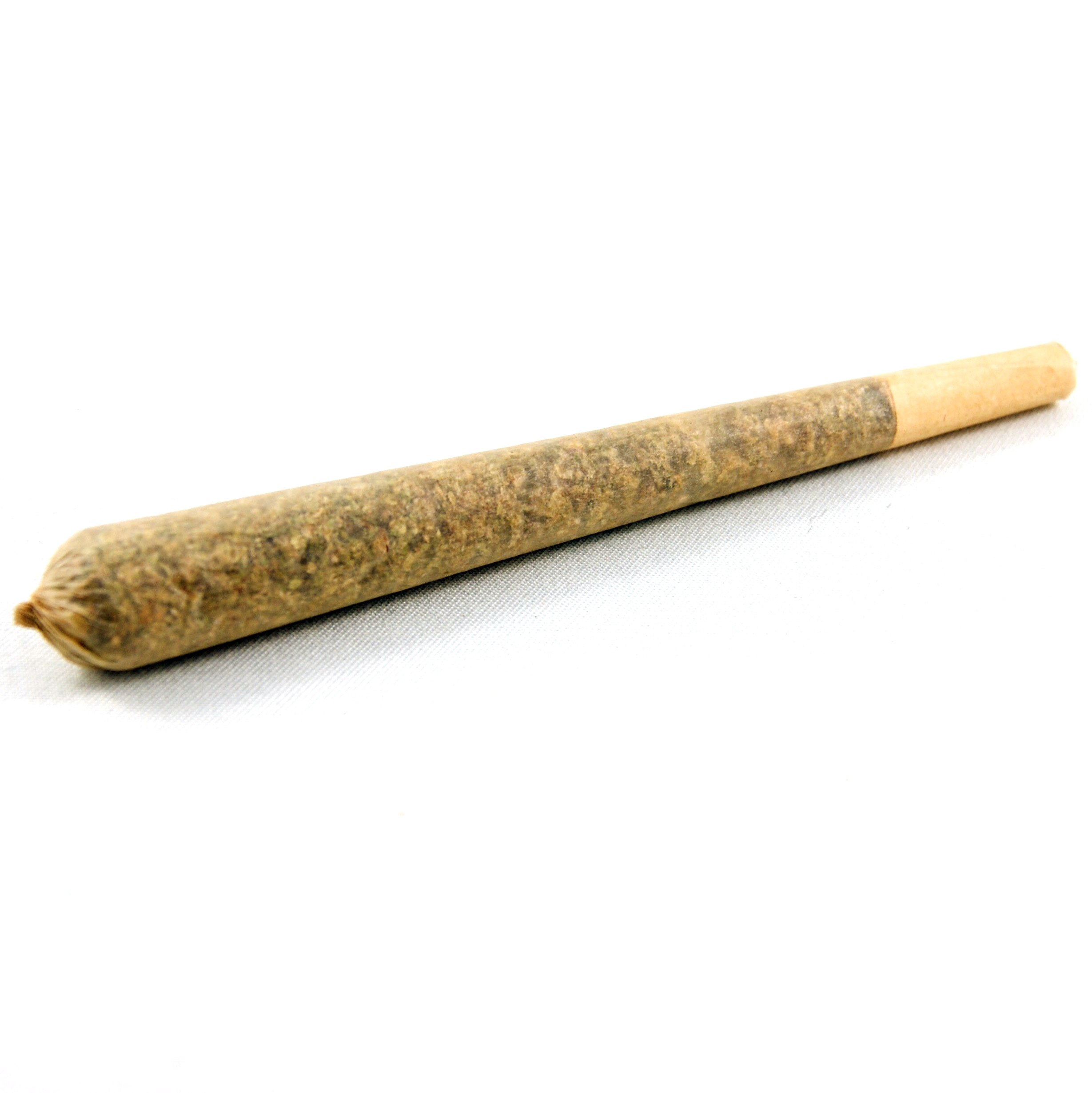 Photograph of product: Fruity Gum "Blair-Rolls" (1g)(SunMed)
