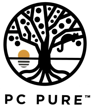 Photograph of product: Gummy - PC PURE - PINEAPPLE 200mg