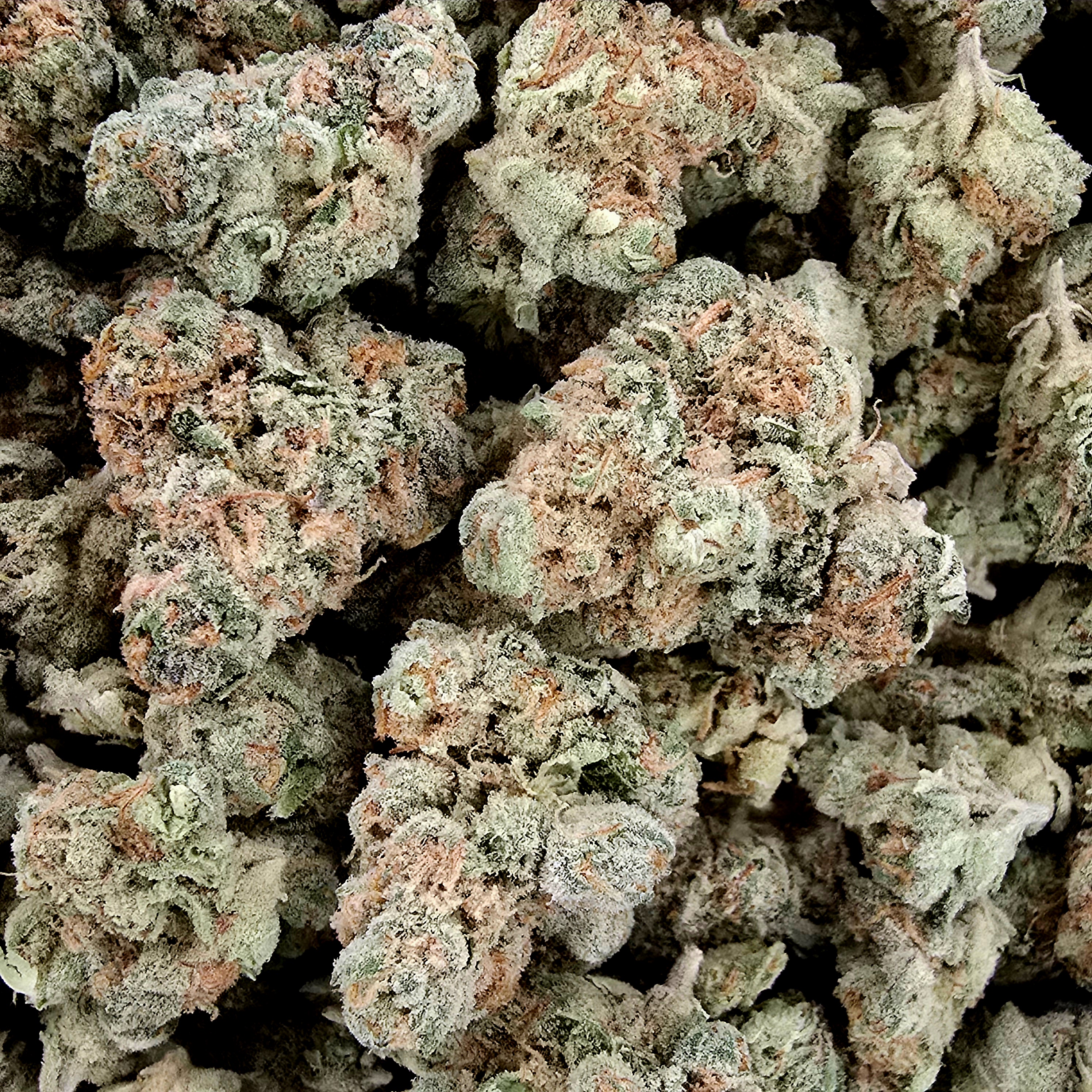 Photograph of product: Pure Kush - 1g