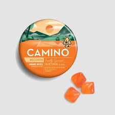 Photograph of product: Camino - Edibles - Gummies - Freshly Squeezed - CBG 1:2