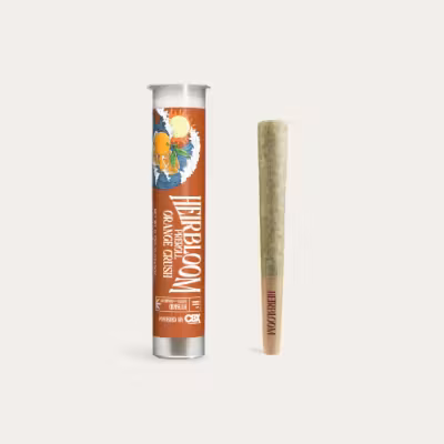 Photograph of product: Orange Crush [H/S] Pre-Roll | Heirbloom by CBX