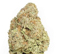 Photograph of product: Paradise Canna Co | Tropical Punch (H) - 3.5g