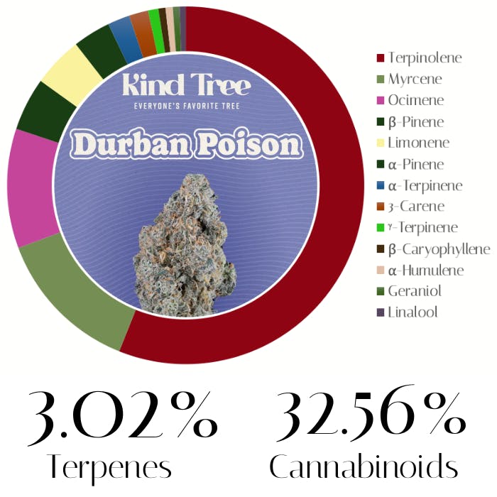 Photograph of product: Durban Poison by Kind Tree | Flower | 3.5g