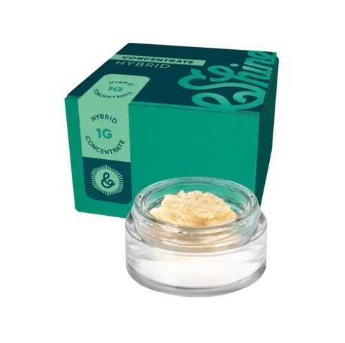 Photograph of product: &Shine Slapz Cured Concentrate 1g