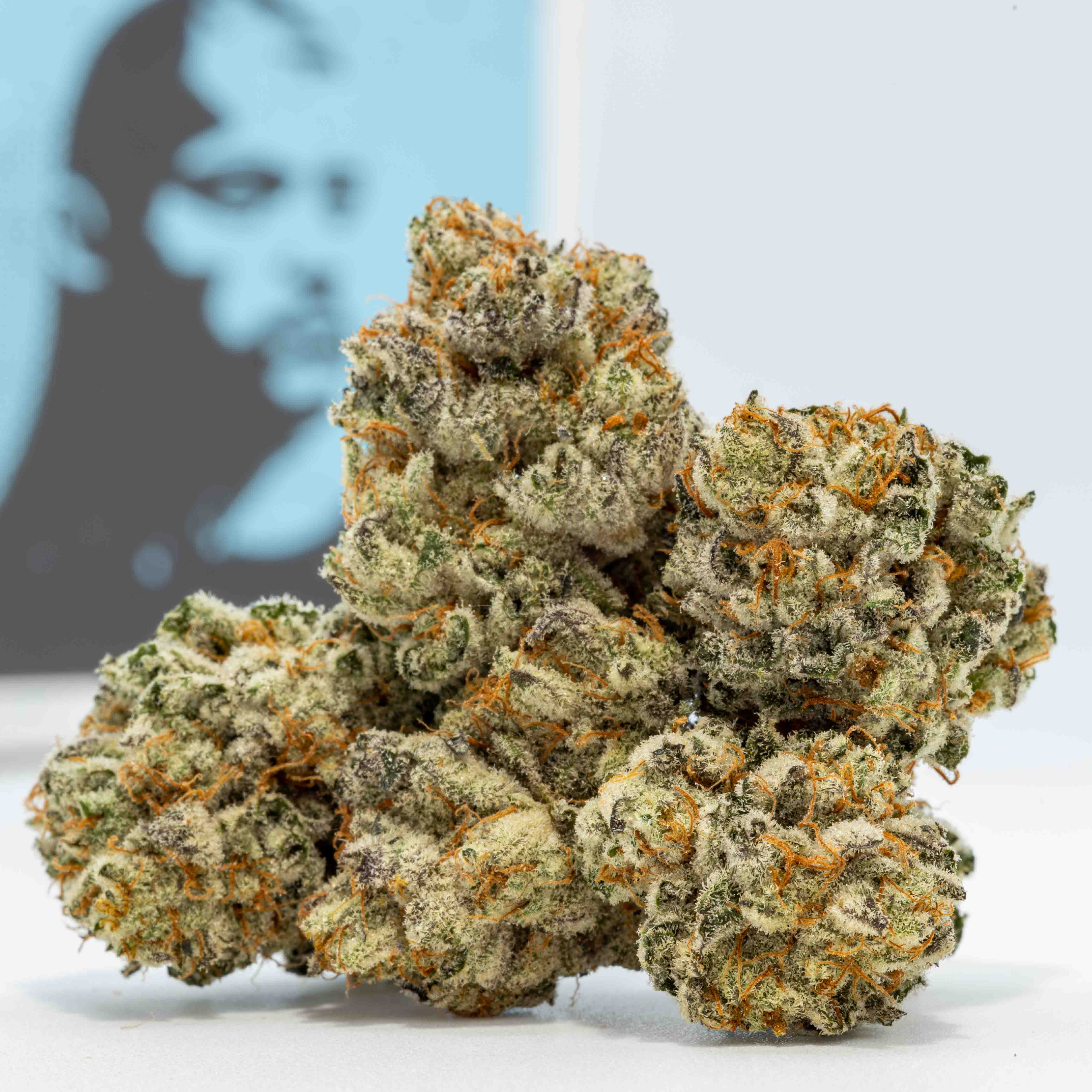 Photograph of product: General Zod | Premium Buds - 3.5g