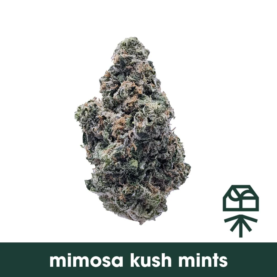 Photograph of product: Mimosa Kush Mints | Diamond Infused Pre-Roll 5-Pack