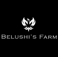 Photograph of product: Belushi's Farm Apple Jacked .5g Live Rosin Disp Vape