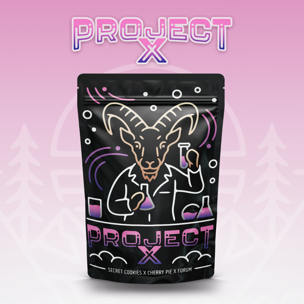 Photograph of product: Voyage Bloom | Project X Flower - 14g