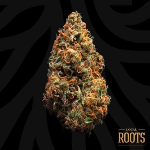 Photograph of product: Golden Goat | 14g