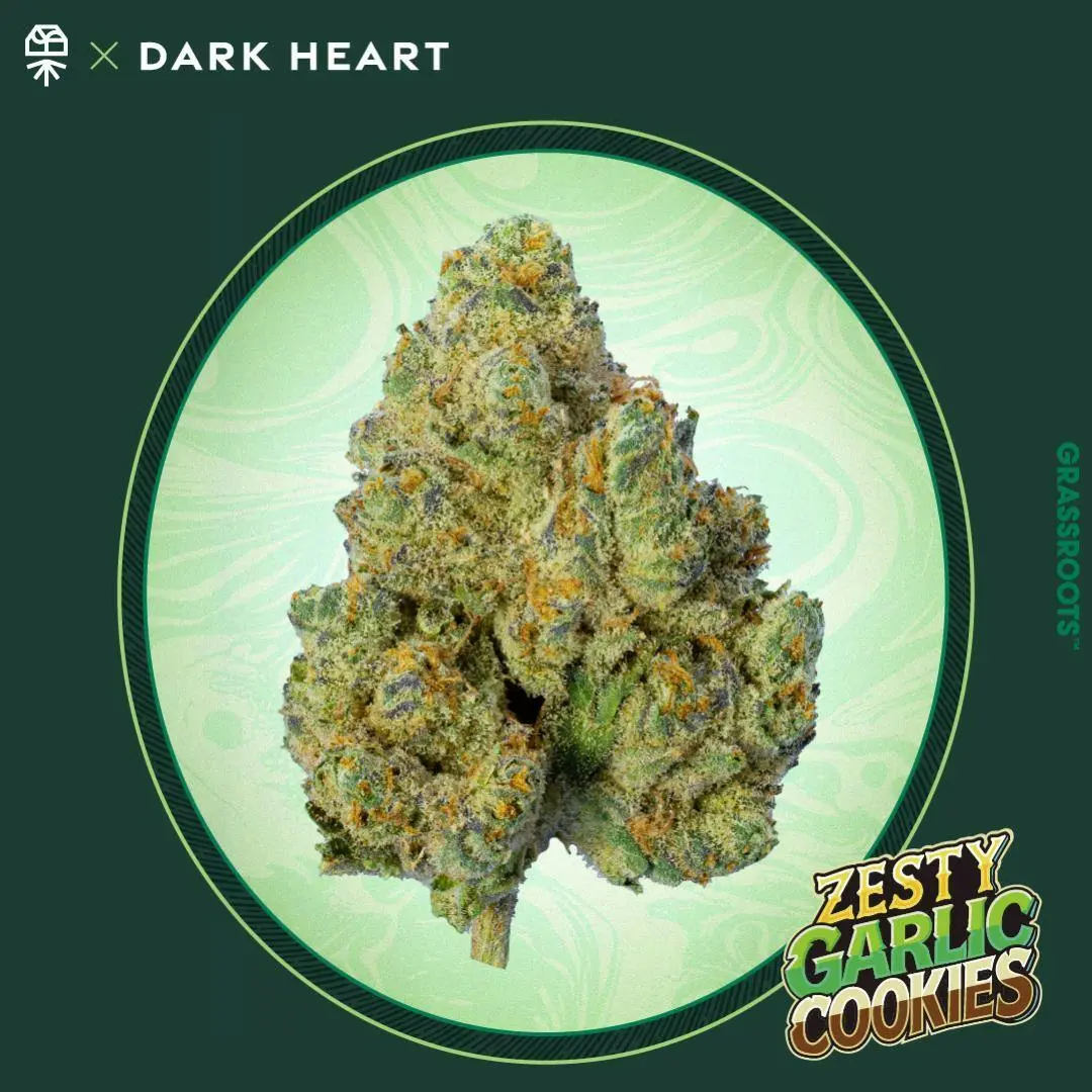 Photograph of product: Grassroots Dark Heart Collection Jar - Zesty Garlic Cookies (Oui'd) - 3.5g