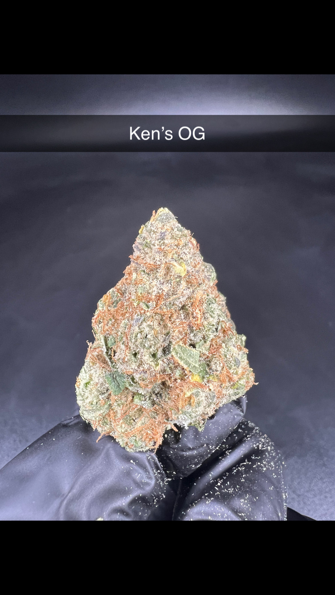 Photograph of product: Ken's OG - Flower - Oui'd - 28g