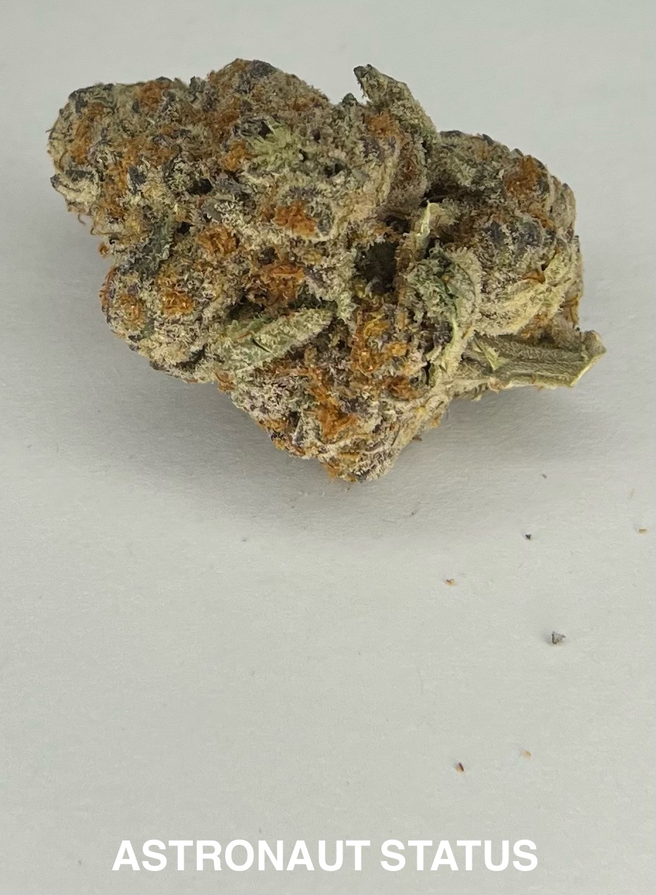 Photograph of product: Astronaut Status Flower - 28g