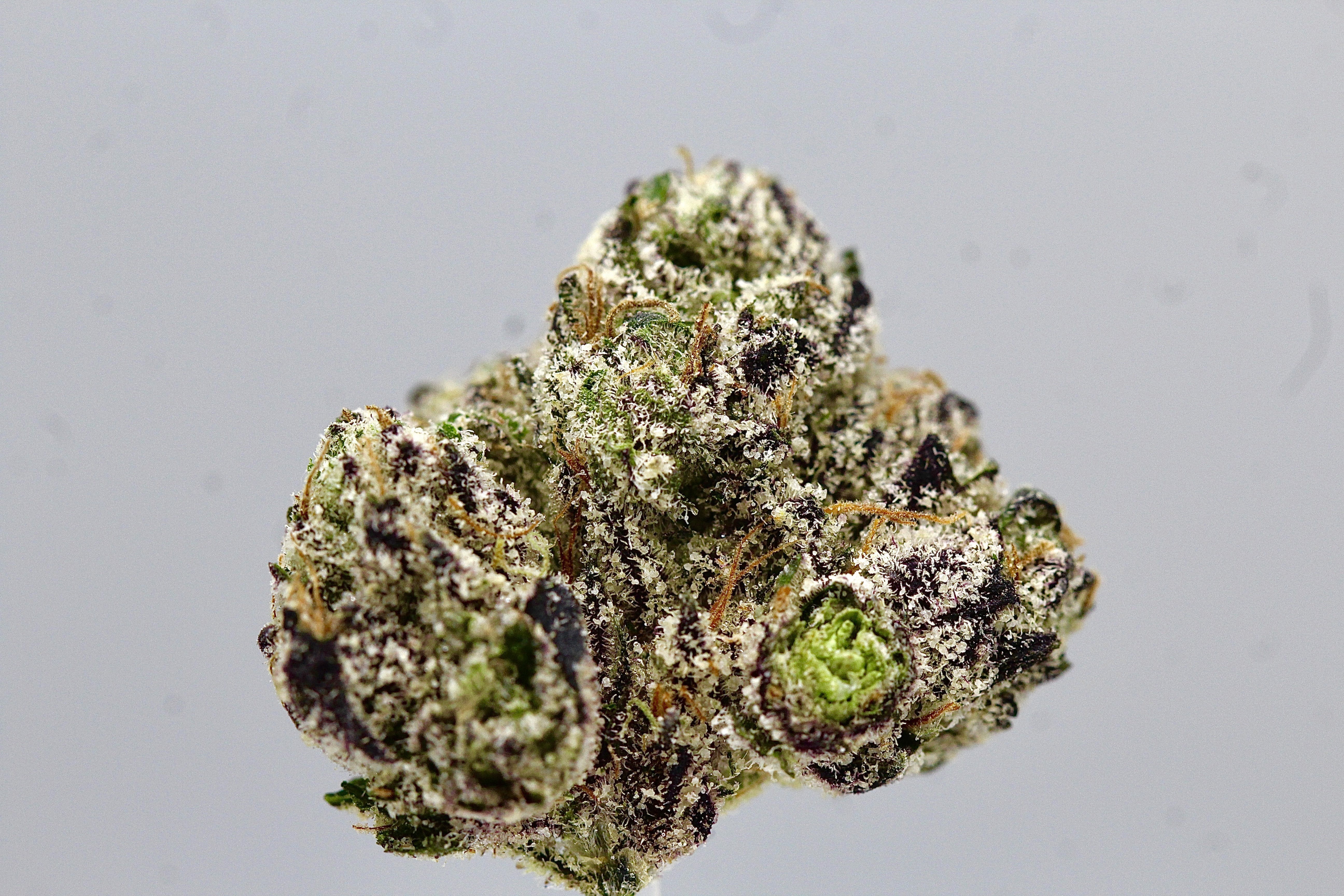 Photograph of product: Revo Group - Blueberry Jam 6G - 6 grams