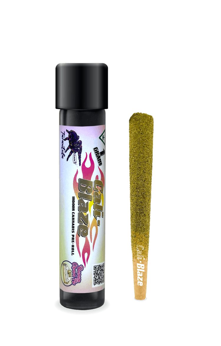 Photograph of product: Cali Blaze Banana Cream Pie Tarantula Infused Pre-Roll