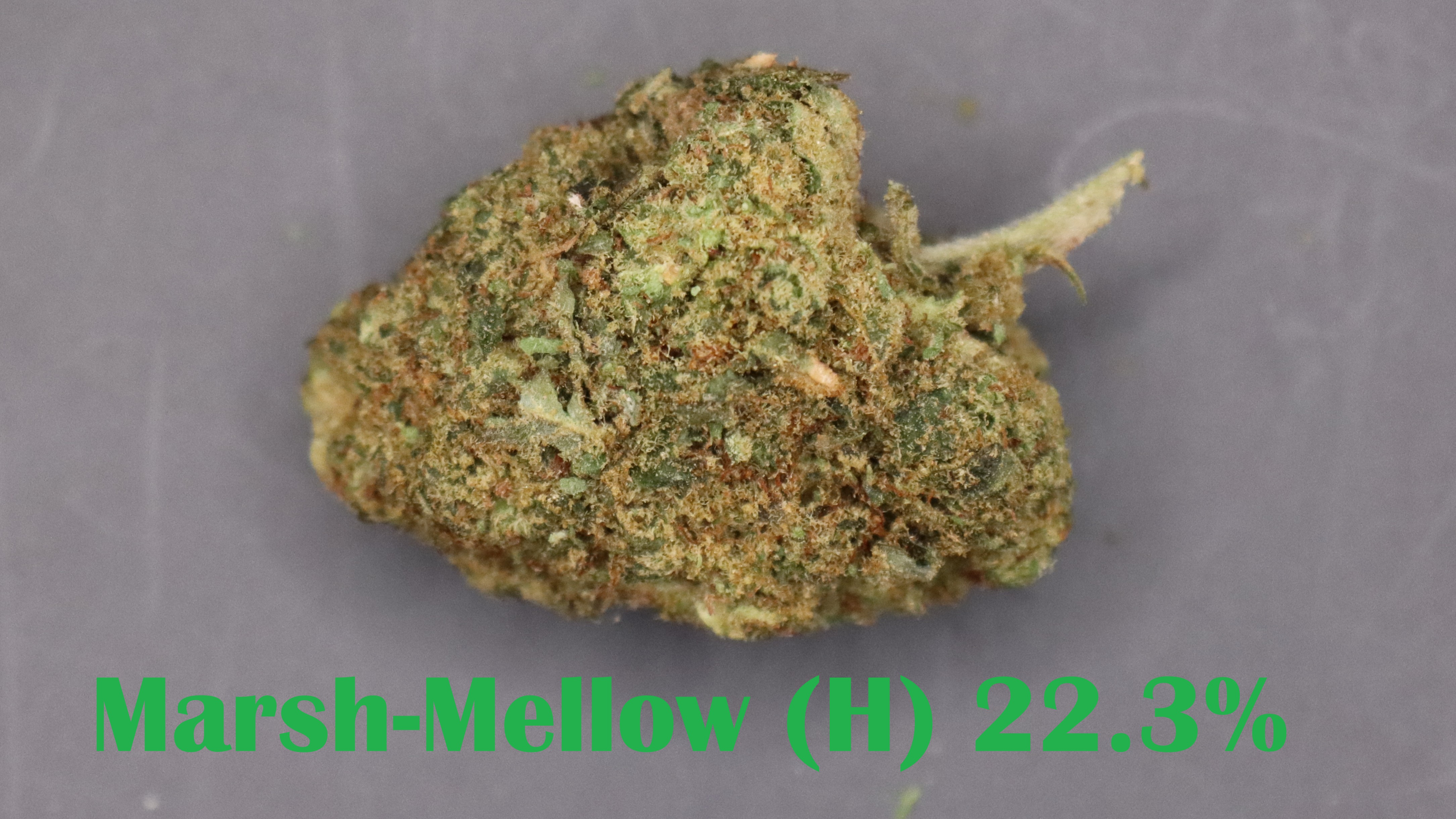 Photograph of product: Phoenix Farms (H) Marsh-Mellow