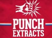 Photograph of product: Peanut Butter & Jelly Dark Chocolate | 100mg Punchbar