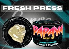 Photograph of Product: Concentrate | Cold Cure Rosin | Papaya | 1G | Rkive