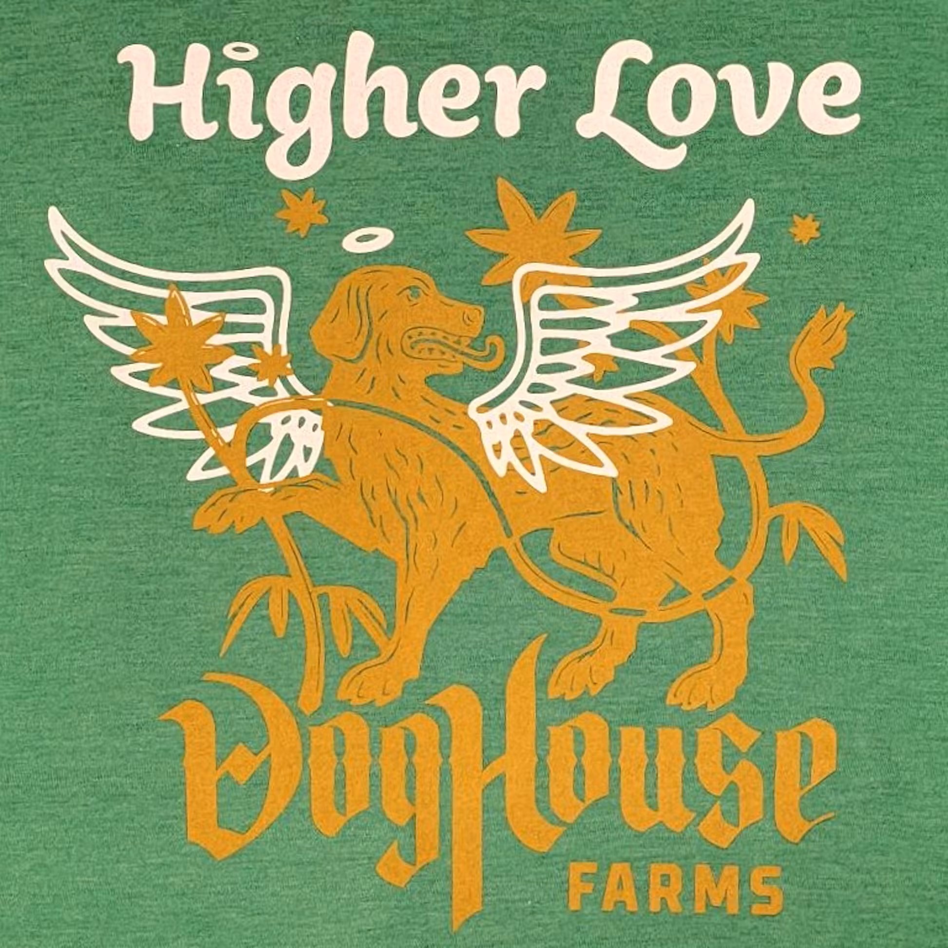Photograph of product: DogHouse Collab Tee - Green (XL)