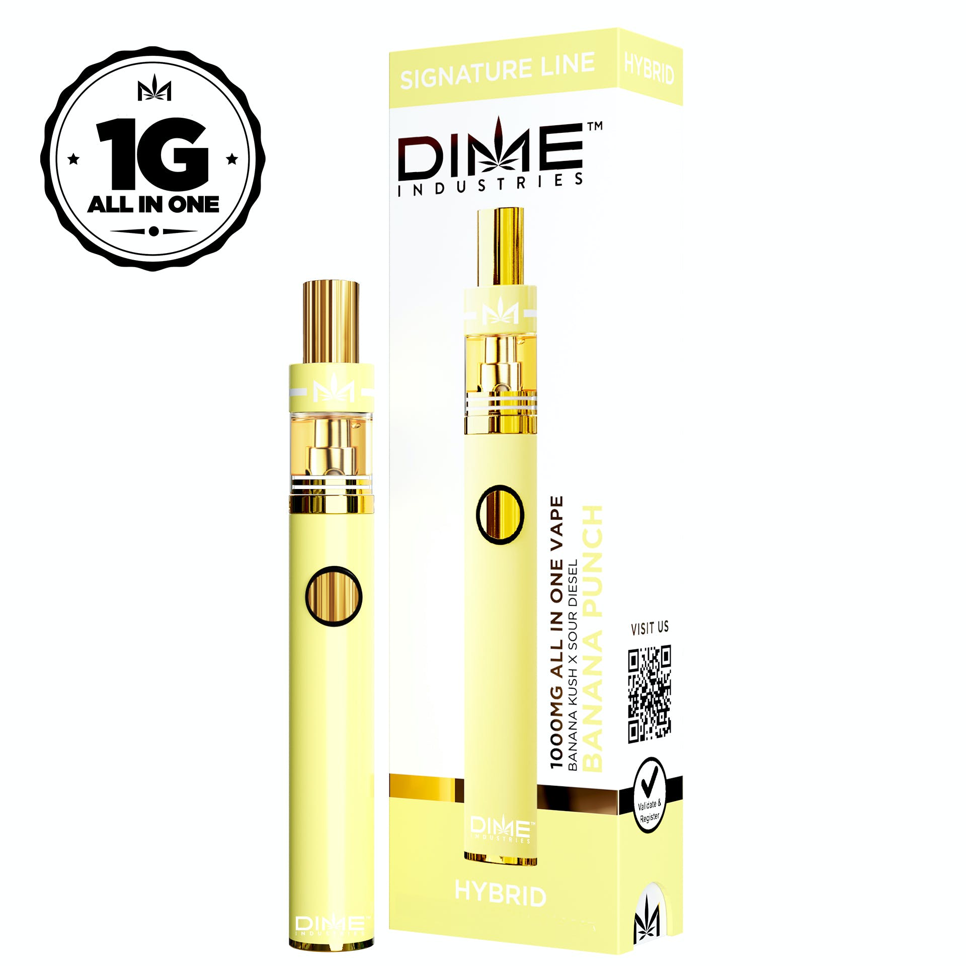 Photograph of product: Dime Industries | Banana Punch Disposable | 1g