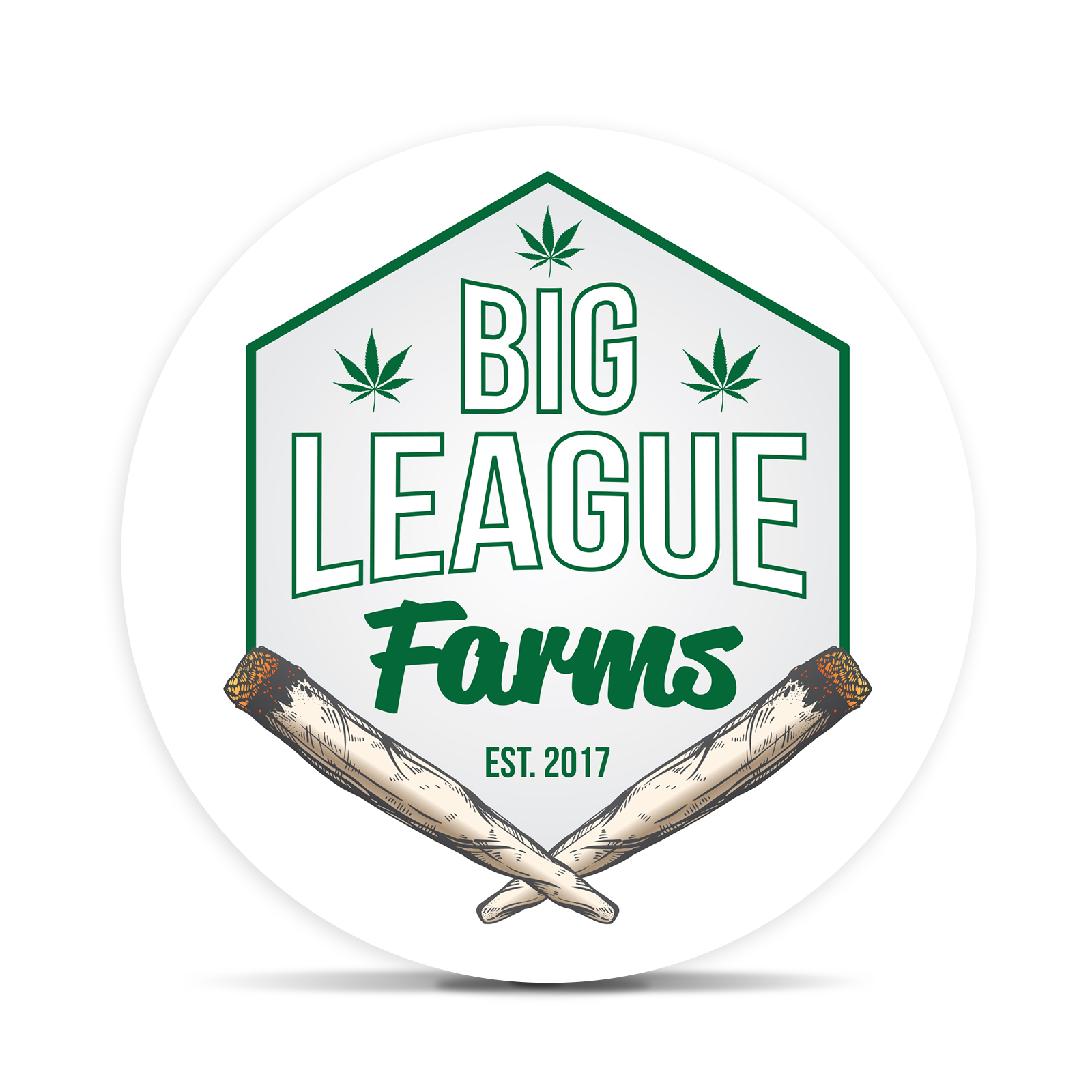 Logo for img-fluid: Big League Farms