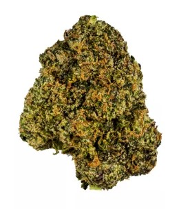 Photograph of product: SeCHe Select | Rainbow Reality 7g