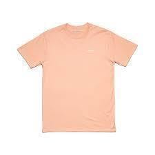 Photograph of product: Backpackboyz - Box Logo Core Tee - Pale Pink XL [ALL TAXES INCLUDED]