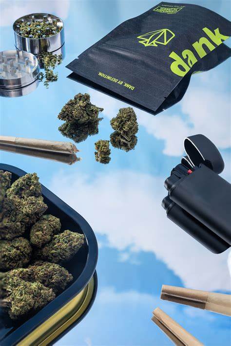 Photograph of product: Dank | Flower | Mylar Bag | Alien OG - 3.5g