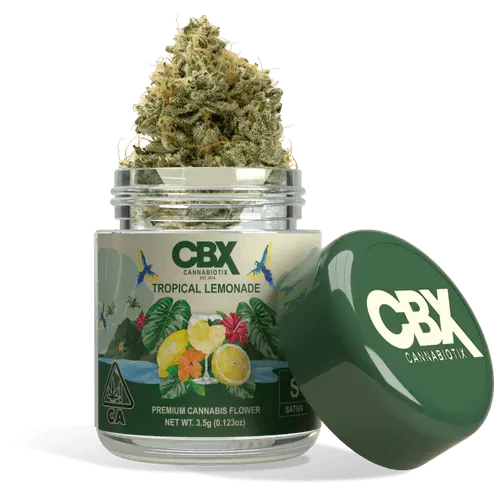Photograph of product: Tropical Lemonade [S] Premium Flower | CBX - 3.5g