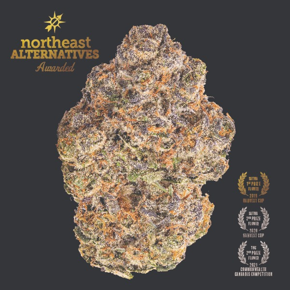 Photograph of product: NEA Awarded | Mandarin Cookies Flower | 3.5g