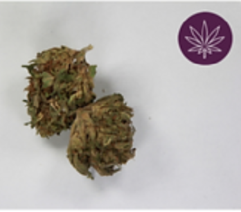 Photograph of product: ERVA | Suver Haze | 7g Hemp Flower