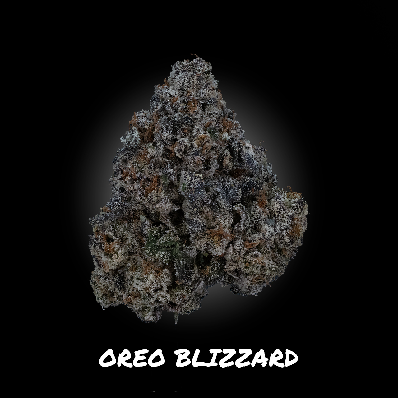 Photograph of product: Oreo Blizzard - Demboyz Prepackaged Flower - 3.5g