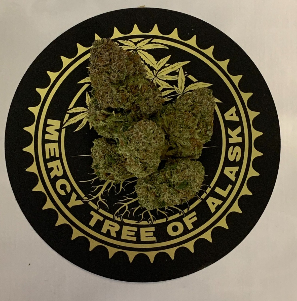 Photograph of product: Strawberry Glue By Mercy Tree Of  Alaska - 28g
