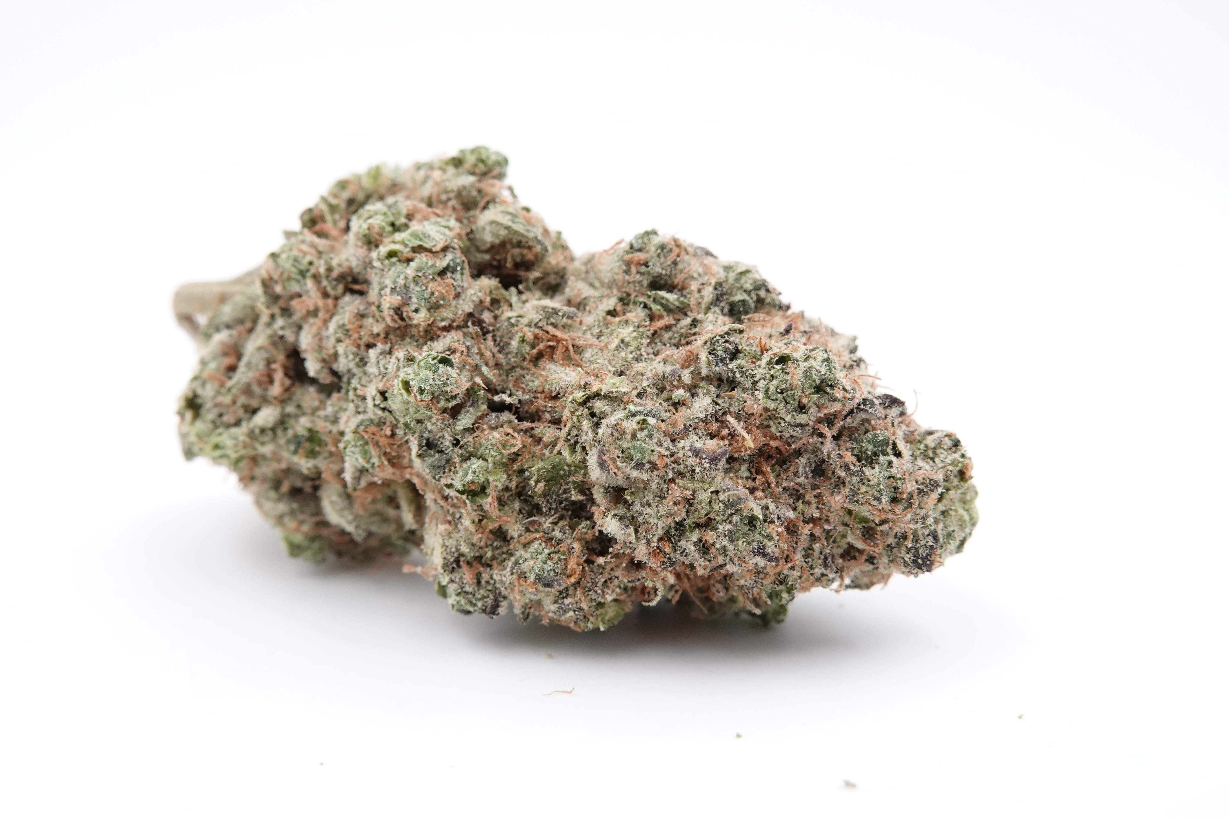Photograph of product: Jack Herer - Epic Flower (S) - 28g
