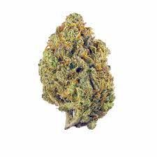 Photograph of product: Pinchy's Scotty 2 Hotty Flower | 28g