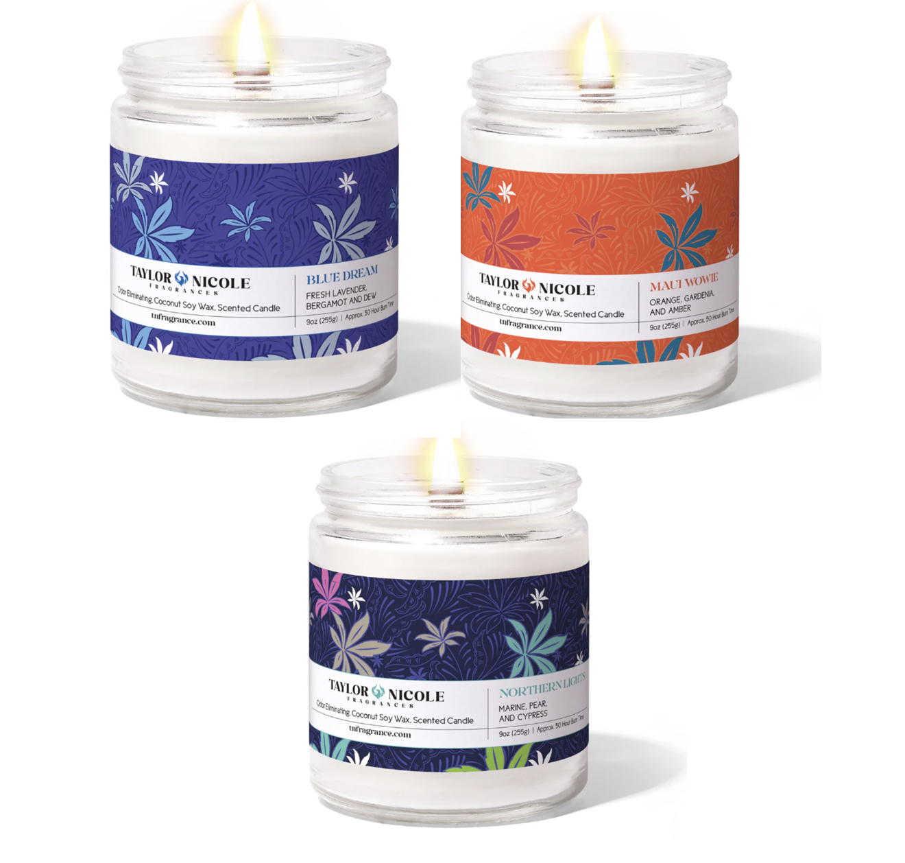 Photograph of product: Taylor Nicole Fragrances | Assorted Scent Candle