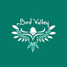 Photograph of product: BVO FSO HIGH CBD 0.5G